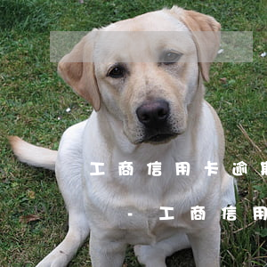 工商信用卡逾期三年怎么協(xié)商解決-工商信用卡逾期三年怎么協(xié)商解決的