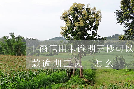 工商信用卡逾期三秒可以分期還嗎-分期付款逾期三天會怎么樣