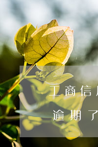 工商信用卡逾期了6天怎么辦-工商信用卡逾期了6天怎么辦呢
