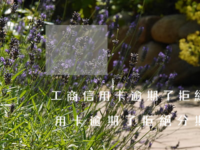 工商信用卡逾期了拒絕分期怎么辦-工商信用卡逾期了拒絕分期怎么辦啊