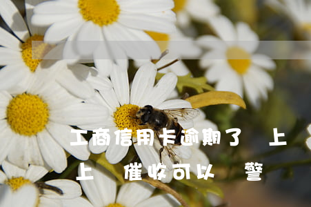 工商信用卡逾期了會上門催收嗎(欠信用卡被上門催收可以報警嗎)