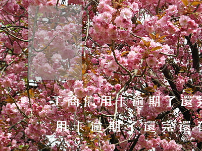 工商信用卡逾期了還完還有額度嗎-工商信用卡逾期了還完還有額度嗎怎么辦