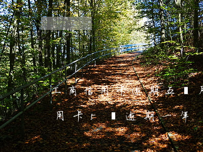 工商信用卡逾期五個月還了四千(工商銀行信用卡5萬逾期一年)