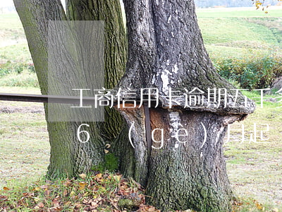 工商信用卡逾期五千多起訴(信用卡5千逾期6個(gè)月起訴了)