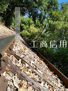 工商信用卡逾期五天怎么辦