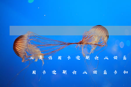 工商信用卡逾期会从储蓄卡扣钱吗-工商信用卡逾期会从储蓄卡扣钱吗怎么办