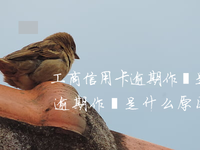 工商信用卡逾期作廢是什么原因(工商信用卡逾期作廢是什么原因呢)