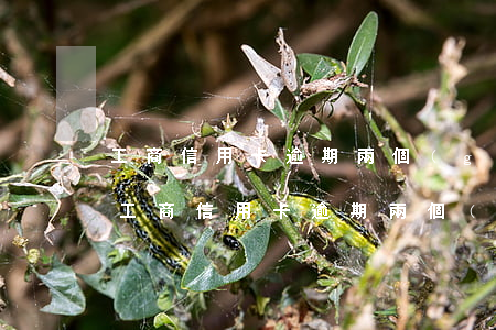 工商信用卡逾期兩個(gè)月解凍成功-工商信用卡逾期兩個(gè)月解凍成功怎么辦