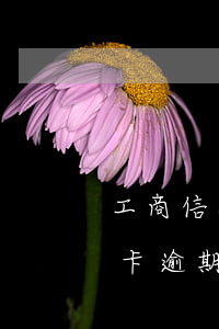 工商信用卡逾期兩天了怎么辦(工商銀行信用卡逾期一天有沒有影響?)