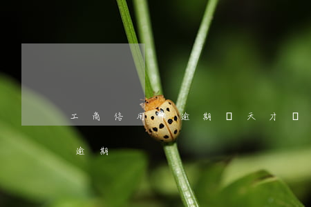 工商信用卡逾期兩天才還上(工商信用卡2萬逾期)