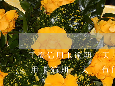 工商信用卡逾期兩天會有什么后果-工商信用卡逾期兩天會有什么后果嗎