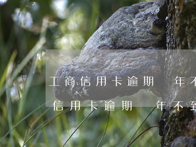 工商信用卡逾期兩年,不到一萬會坐牢?-工商信用卡逾期兩年,不到一萬會坐牢么