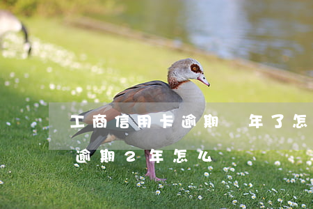 工商信用卡逾期兩年了怎么辦(很多張信用卡逾期2年怎么辦)