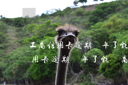工商信用卡逾期兩年了能協商分期-工商信用卡逾期兩年了能協商分期還款嗎