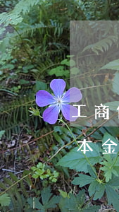 工商信用卡逾期兩年怎么協(xié)商還本金-工商信用卡逾期兩年怎么協(xié)商還本金的