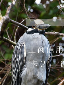 工商信用卡逾期兩年銀行起訴(工商銀行信用卡2萬逾期多久會被起訴)