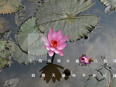 工商信用卡逾期八個月卡(工商銀行信用卡逾期幾天會有不良記錄)