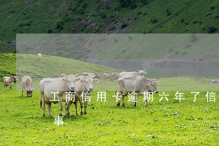 工商信用卡逾期六年了(信用卡逾期6年沒有事)
