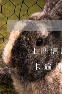 工商信用卡逾期冻结了怎么解冻-工商信用卡逾期冻结了怎么解冻不了