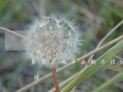 工商信用卡逾期冻结协商分期(信用卡 逾期 冻结)