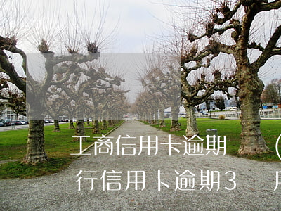 工商信用卡逾期凍結(jié)4年(工商銀行信用卡逾期3個月被凍結(jié)會被起訴嗎)