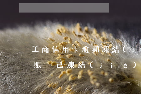 工商信用卡逾期凍結(jié)了儲蓄卡(此賬戶已凍結(jié)工商銀行信用卡)
