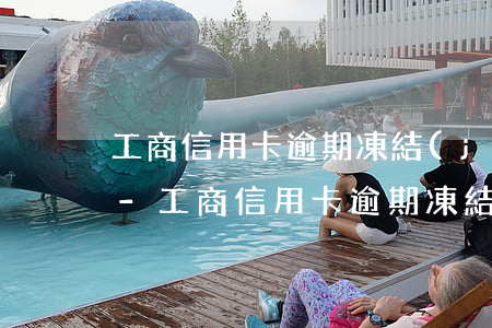 工商信用卡逾期凍結(jié)怎么解凍6-工商信用卡逾期凍結(jié)怎么解凍6年