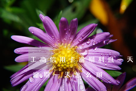 工商信用卡逾期利息一天多少 工商的信用卡逾期一天怎么辦