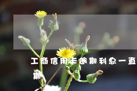 工商信用卡逾期利息一直在漲(工行信用卡 逾期)
