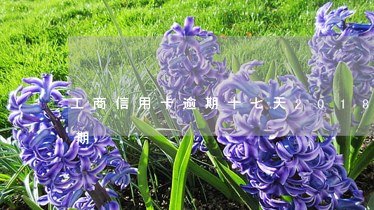 工商信用卡逾期十七天(2018年信用卡逾期)