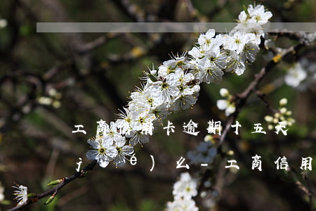 工商信用卡逾期十五天會(huì)凍結(jié)么-工商信用卡逾期十五天會(huì)凍結(jié)么嗎