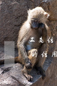 工商信用卡逾期半个月能解冻吗 逾期3个月的信用卡冻结以后还能有额度吗?