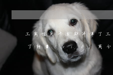 工商信用卡逾期半年了(工商信用卡逾期半年了能協(xié)商分期還款嗎)