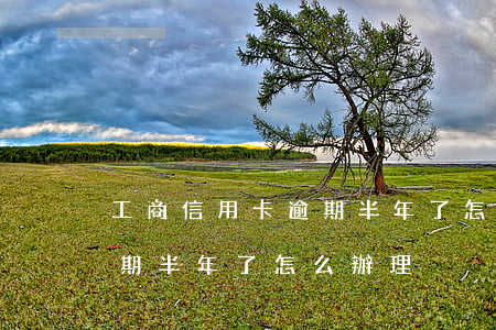 工商信用卡逾期半年了怎么辦(工商信用卡逾期半年了怎么辦理)