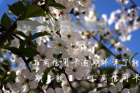 工商信用卡逾期半年了能協(xié)商分期還款嗎-工商信用卡逾期半年了能協(xié)商分期還款嗎