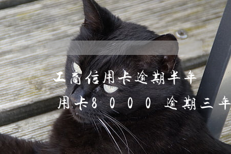 工商信用卡逾期半年兩萬(wàn)(工商信用卡8000逾期三年)