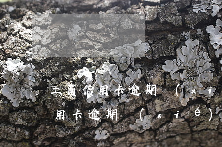 工商信用卡逾期協(xié)商不成(工商信用卡逾期協(xié)商不成)