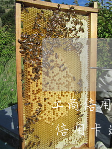 工商信用卡逾期去柜臺還款會怎么樣?-工商信用卡逾期去柜臺還款會怎么樣嗎