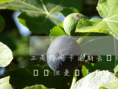 工商信用卡逾期去銀行還款(工商銀行卡逾期沒還 但是還不進去 怎么還款)