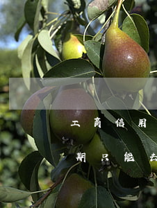 工商信用卡逾期只能去柜臺還?（工商信用卡逾期只能去柜臺還）