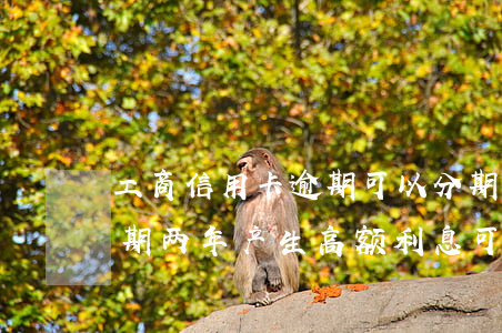 工商信用卡逾期可以分期减免吗 工商银行逾期两年产生高额利息可以减免吗