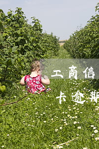 工商信用卡逾期可以分期還款嗎 分期的信用卡逾期了怎么辦