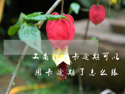 工商信用卡逾期可以協(xié)商(工商信用卡逾期了怎么跟銀行協(xié)商解決)