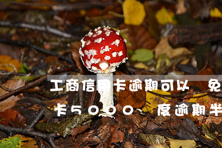 工商信用卡逾期可以減免利息嗎?-工商信用卡5000額度逾期半年