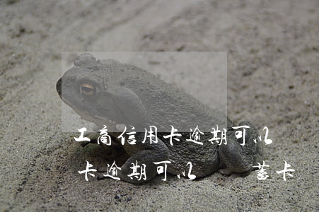 工商信用卡逾期可以辦儲蓄卡嗎-工商信用卡逾期可以辦儲蓄卡嗎