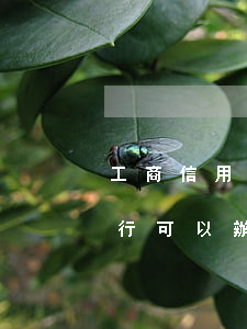 工商信用卡逾期可以辦理工商卡嗎-工商銀行可以辦理信用卡