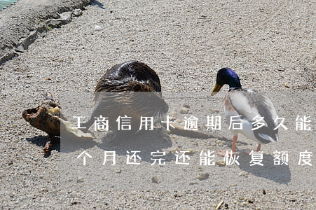 工商信用卡逾期后多久能提额度(工行逾期两个月还完还能恢复额度吗)