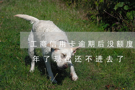工商信用卡逾期后没额度(工商信用卡逾期一年了现在还不进去了)