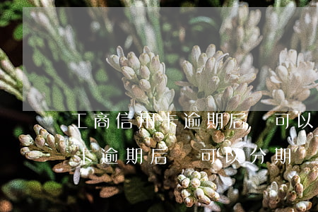 工商信用卡逾期后還可以分期嗎-工商信用卡逾期后還可以分期嗎