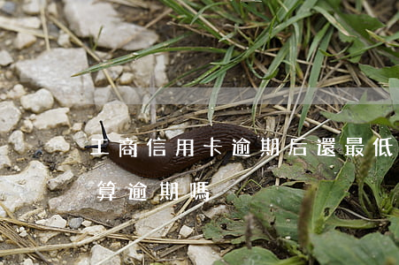 工商信用卡逾期后還最低(信用卡還最低了還算逾期嗎)